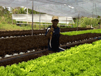 ห้องเรียน 2